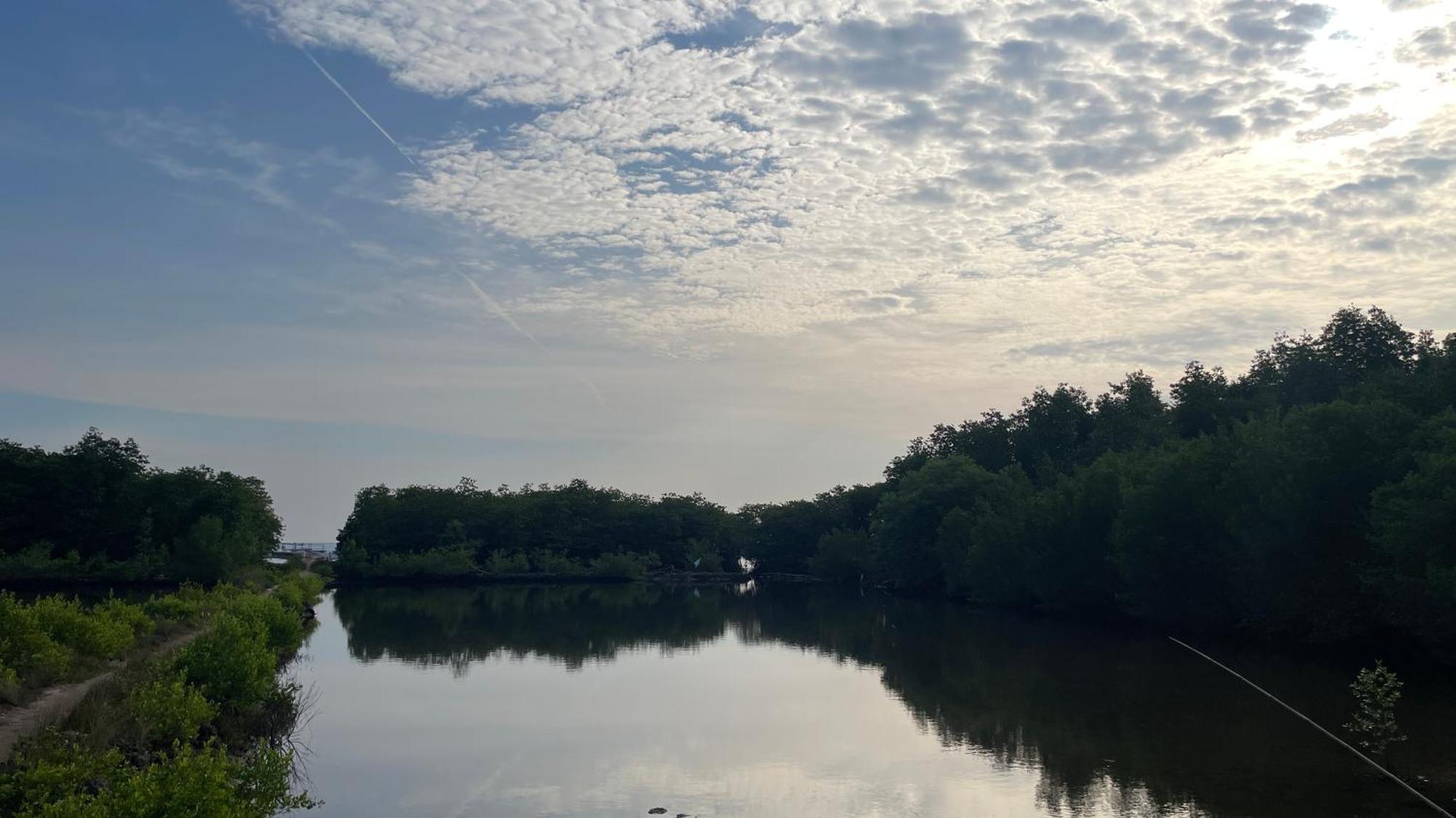 Mangrove Inn Karimunjawa Buitenkant foto