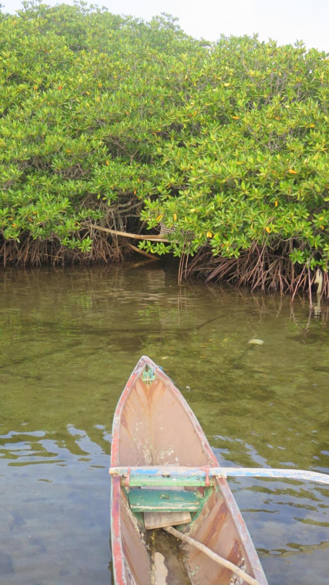 Mangrove Inn Karimunjawa Buitenkant foto