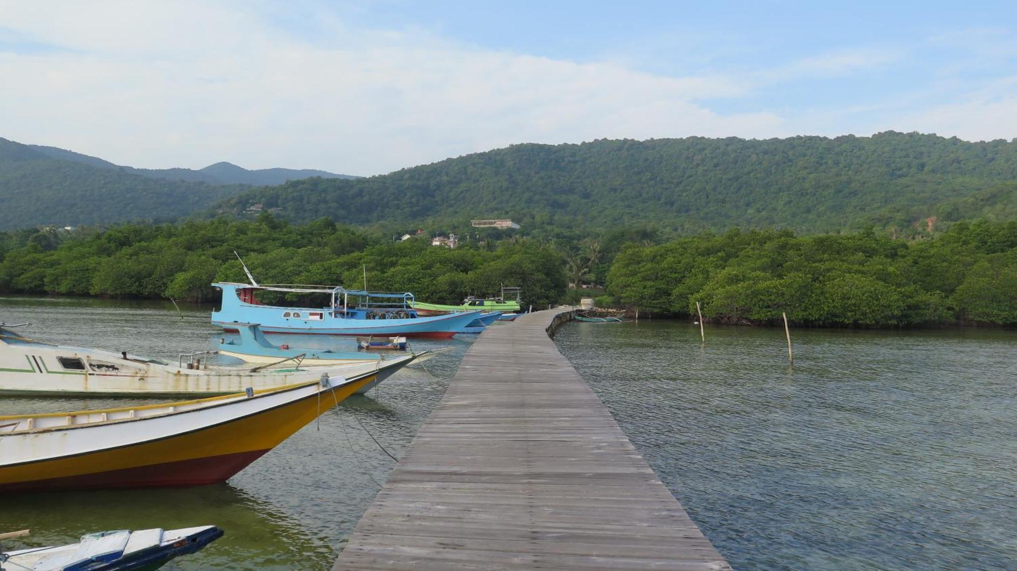 Mangrove Inn Karimunjawa Buitenkant foto