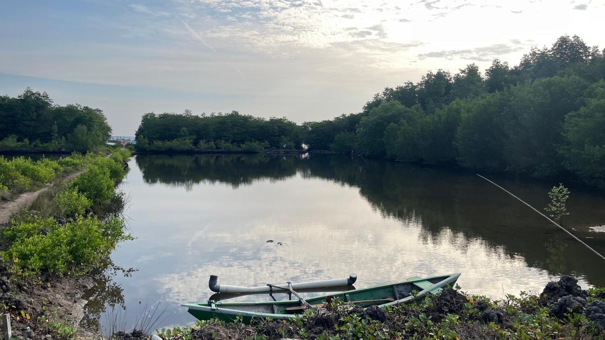 Mangrove Inn Karimunjawa Buitenkant foto