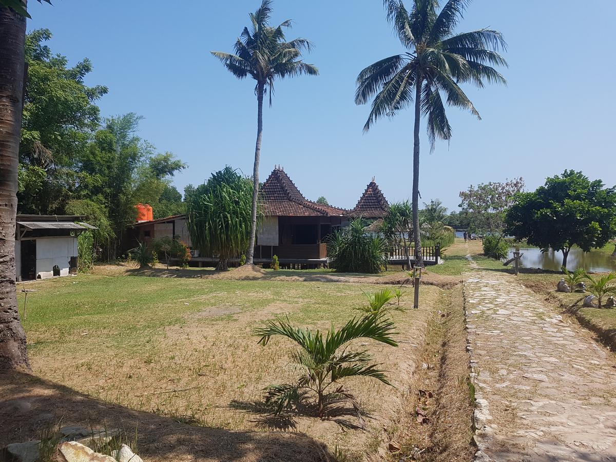 Mangrove Inn Karimunjawa Buitenkant foto