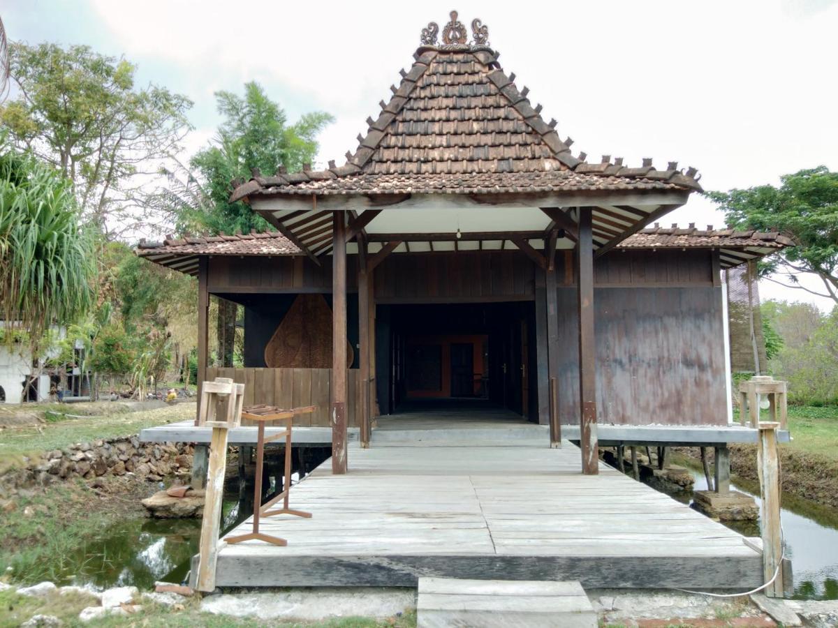Mangrove Inn Karimunjawa Buitenkant foto